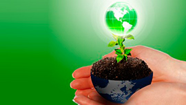 Инструменты коучинга для Руководителей